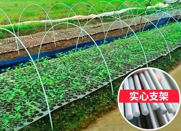 10mm ενισχυμένες ίνα πλαστικές ράβδοι φίμπεργκλας ράβδων εύκαμπτες για την πράσινη φύτευση σπιτιών