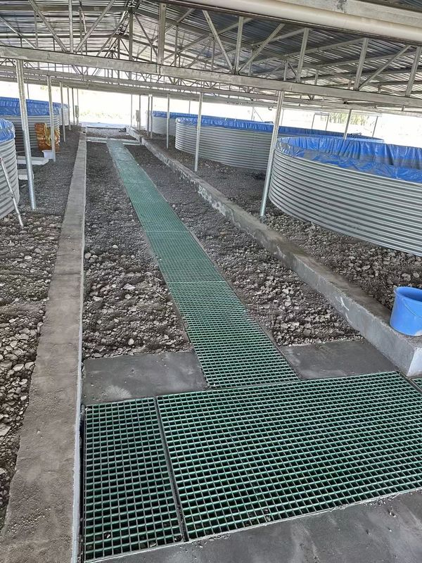 Αλιευτική Φάρμα FRP Grating Walkway ή πλατφόρμα μπορεί να προσαρμοστεί για το μέγεθος και το χρώμα