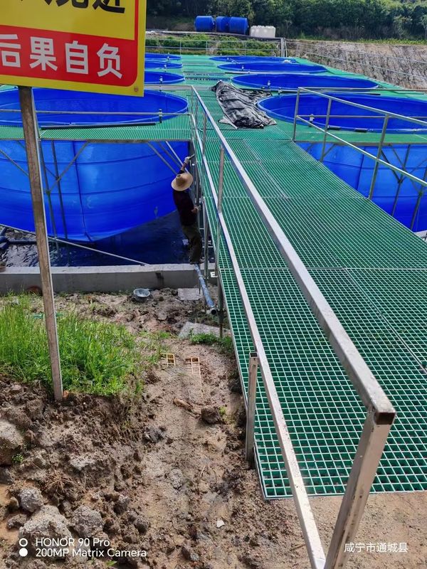 Αλιευτική Φάρμα FRP Grating Walkway ή πλατφόρμα μπορεί να προσαρμοστεί για το μέγεθος και το χρώμα