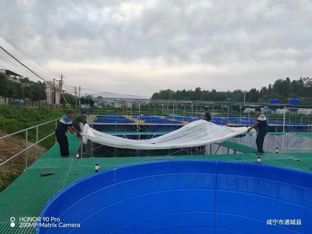 Αλιευτική Φάρμα FRP Grating Walkway ή πλατφόρμα μπορεί να προσαρμοστεί για το μέγεθος και το χρώμα